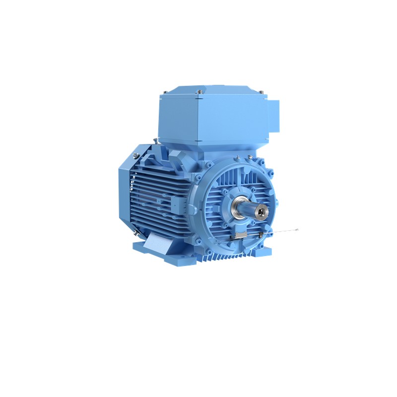 M Jp Smb Gjp Adg Abb Cast Iron Motor For Expl