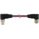 7000-44035-8030060 MURRELEKTRONIK M12 macho 90° / M12 fêmea 90° B-cod. PUR AWG22 + 24 blindado violeta UL/CS..