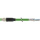 7000-08811-7912000 MURRELEKTRONIK M8 male 0° with cable, Ethercat PUR 1x4xAWG26 shielded green UL/CSA + drag..