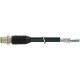 7000-13081-6411500 MURRELEKTRONIK M12 male 0° with cable PUR 4X0.34 shielded black UL/CSA, drag chain 15m