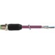 7000-13105-8030200 MURRELEKTRONIK M12 male 0° with cable DeviceNet PUR AWG24 + AWG22 shielded violet UL/CSA ..