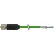 7000-15551-8311500 MURRELEKTRONIK M12 hembra 0° Y-cod. con cable, híbrido PUR AWG20/26 apantallado verde UL/..