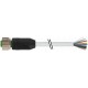 7000-19041-3010300 MURRELEKTRONIK M12 hembra 0° con cable PUR 12x0.25 3.0m