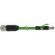 7000-44621-7942300 MURRELEKTRONIK M12 fêmea 0° / RJ45 macho 0° Ethernet PUR 2x2xAWG22 blindado verde UL/CSA ..