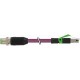 7000-44711-7980250 MURRELEKTRONIK M12 mâle droit / RJ45 mâle droit Ethernet PUR 2x2xAWG22 blindé violet UL/C..