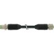 7000-53301-7060150 MURRELEKTRONIK M12 mâle droit / M12 femelle droit PUR 12x0.14 blindé noir UL/CSA + chaîne..