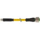 7000-88361-0300100 MURRELEKTRONIK M8 mâle snap-in / M12 femelle droit à vis PUR 3x0.25 jaune UL/CSA + chaîne..