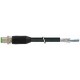 7000-13101-6020700 MURRELEKTRONIK M12 male 0° A-cod. with cable shieldedPVC 5x0.34 shielded bk UL/CSA 7m