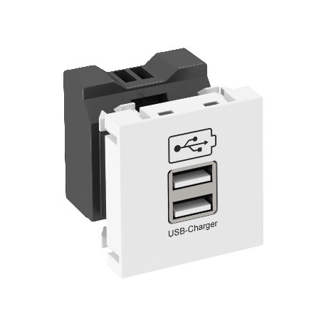 6105291 OBO BETTERMANN OUTLET USB CHARGER MTG-2UC1.2 RW1