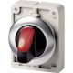 M30I-FWLKV-R 188202 EATON ELECTRIC Illuminated option keys, flat front, with T-handle, red, 2 positions (V p..