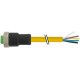 7700-A3021-UBB1000 MURRELEKTRONIK Mini (7/8) 3 pole, Female Straight with cable PVC, STOOW, 3x16AWG, yellow,..