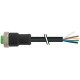 7700-A3021-UMB0500 MURRELEKTRONIK Mini (7/8) 3 polos, hembra recto con cable PUR, UL/CSA, 3x16AWG, negro, 5m